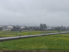 -黄牛肉馆·皖南土菜