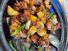 -鸽小宝(深圳首店)