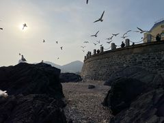 -黑石礁公园