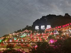 -枇杷园食为鲜火锅(南山店)