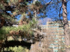 -龙塔