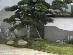 -贵阳万丽酒店