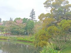 -四海公园(南山区)