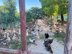 -不觉晓CAMPING(上海迪士尼营地店)