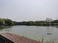 -八卦田遗址公园