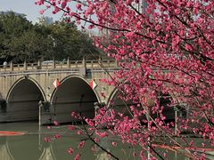 -望江楼公园
