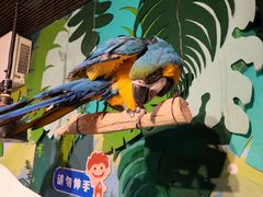 -萌宠奇缘(荣鼎店)