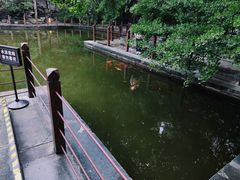 -香山公园