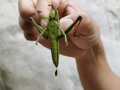 -碓臼峪自然风景区