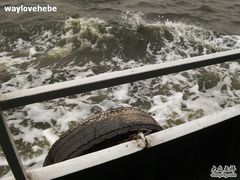 -海河外滩公园