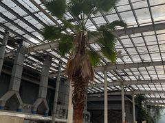 -龙达温泉生态城