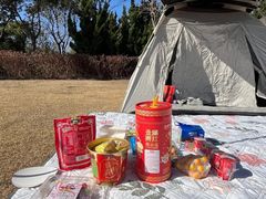 -春花秋色城市公园