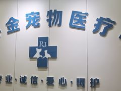 -睿金宠物医院·CT·肿瘤·骨外科