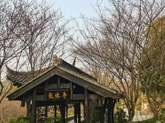 -重庆园博园