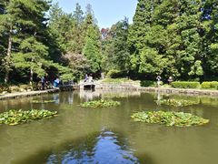 -庐山风景区花径公园