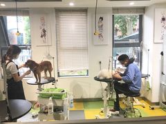 -奈斯宠物医院·核磁CT·异宠专科·内镜(中南店)