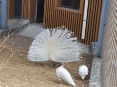 -太原动物园
