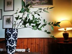 -马克咖啡The Moganshan Lodge