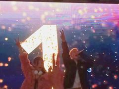 -锦江乐园舞狸花花游园会(夜场专享)