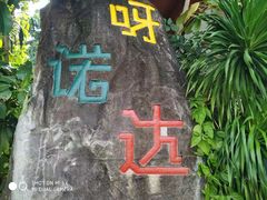 -呀诺达热带雨林