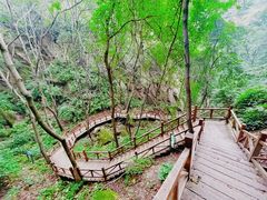 -大岭沟猕猴桃谷风景区