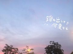 -飞凤山奥体公园