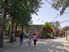 -1982农场