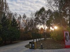 -群力丁香公园