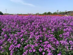 -江苏三台山国家森林公园