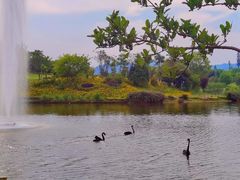 -三岔湖环球融创天堂洲际酒店水乐园