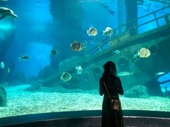 -福州罗源湾海洋世界旅游区