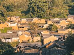 -杨家堂村