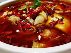 重庆毛血旺-上海会馆(香港名都店)
