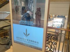 -影汇之星8字形摩天轮