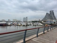 -日照世帆赛基地