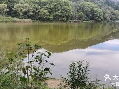 -黔灵山公园