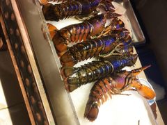 -雍和会海鲜姿造自助(湖东路店)