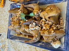 -百利鸽王(紫薇路店)