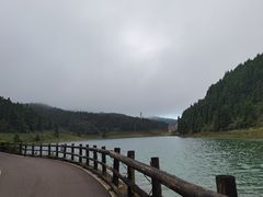 -武陵山森林公园