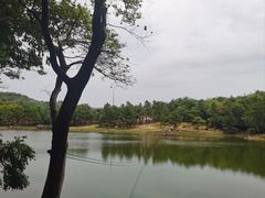 -南京市无想山景区
