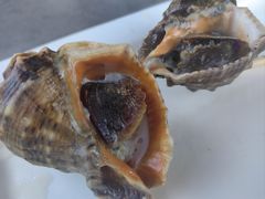 -阿弟特色海鲜餐厅·大排档(平潭店)