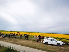 -青海湖国家重点风景名胜区