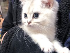 -1013 PET SHOP 宠物商店(近铁城市广场店)
