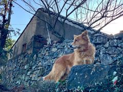 -许家山