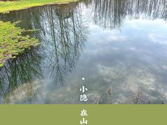 -桤木河湿地公园