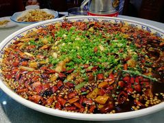 来凤鱼-新概念来凤鱼(璧山店)
