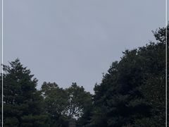 -普陀山风景区-佛顶山