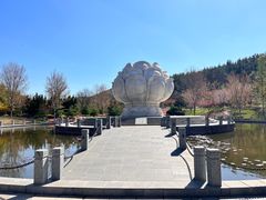 -金龙寺国家森林公园