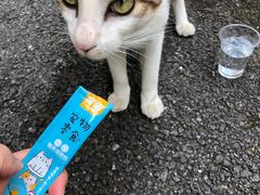 -漫咖啡(浏阳河店)