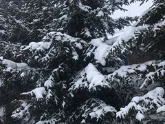 -雪谷